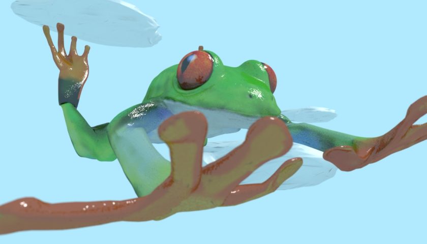 grenouile 16HD Mike la grenouille - solvejgdesign